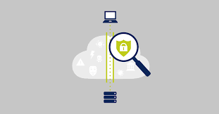 央行发行2023版第五套人民币中为何没有100元和5元?